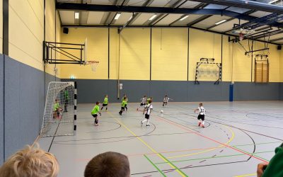 Löwen-Cup 2025 – Spannung und Spaß in der Heinz-Schreiber-Halle